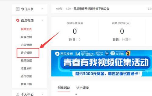 微头条驾驶教学视频下载,轻松掌握驾驶技巧，一键下载学习