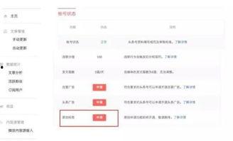 头条号申请原创几天过审,掌握技巧，快速通过审核