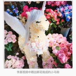 微博送花明星有钱拿吗,有钱拿还是一场秀？