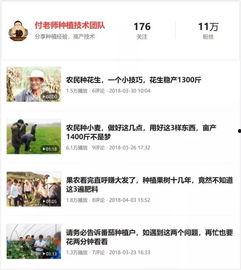 头条的摄影故事怎么写,揭秘头条摄影背后的精彩瞬间